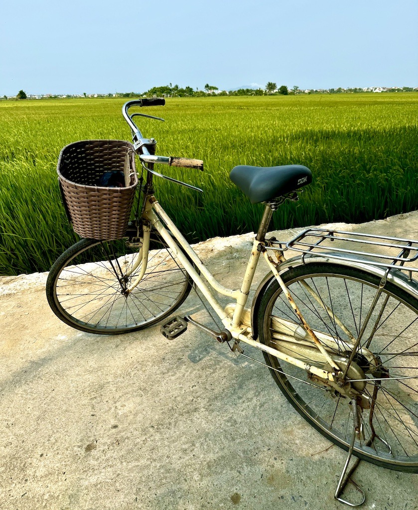 rusty bike near rice field-Outdoor Adventures of Hoi An