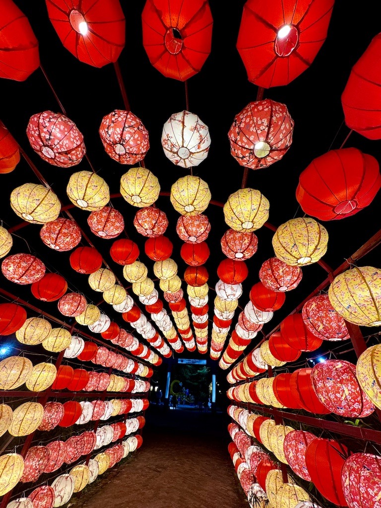 red, yellow, and white lanterns