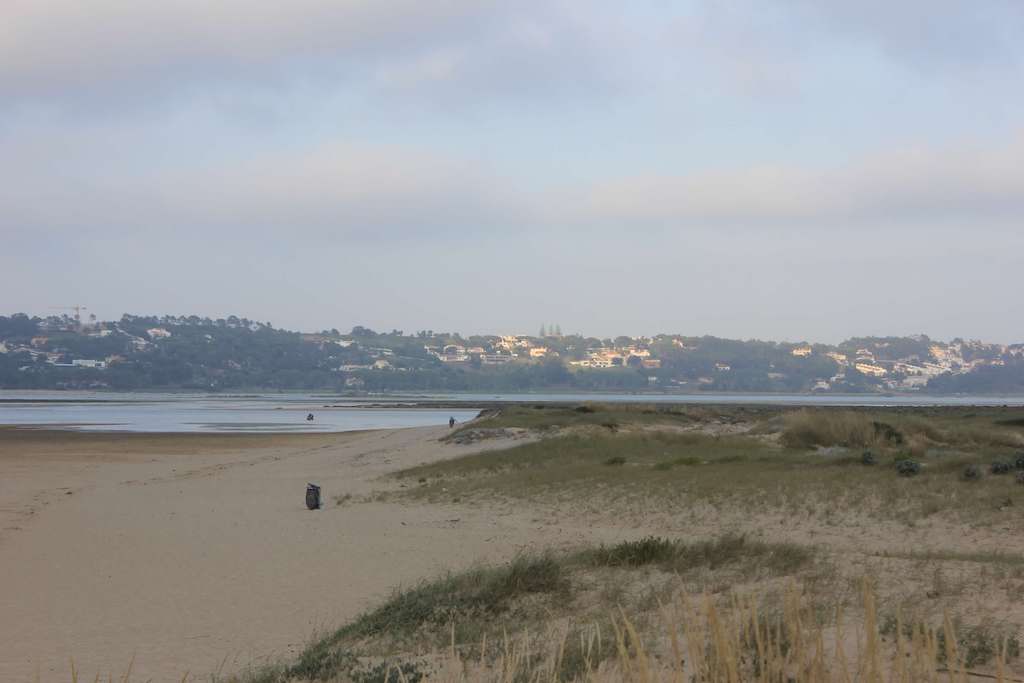 beach sand and water-