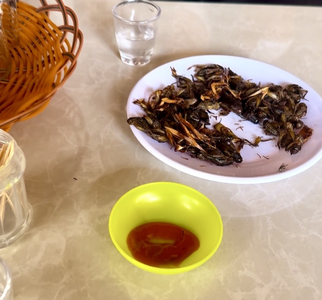 dried crickets on plate on Easy Rider Tour