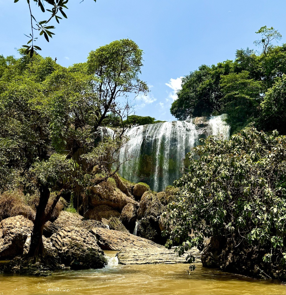 waterfalls and trees and rocks on Easy Rider Tour