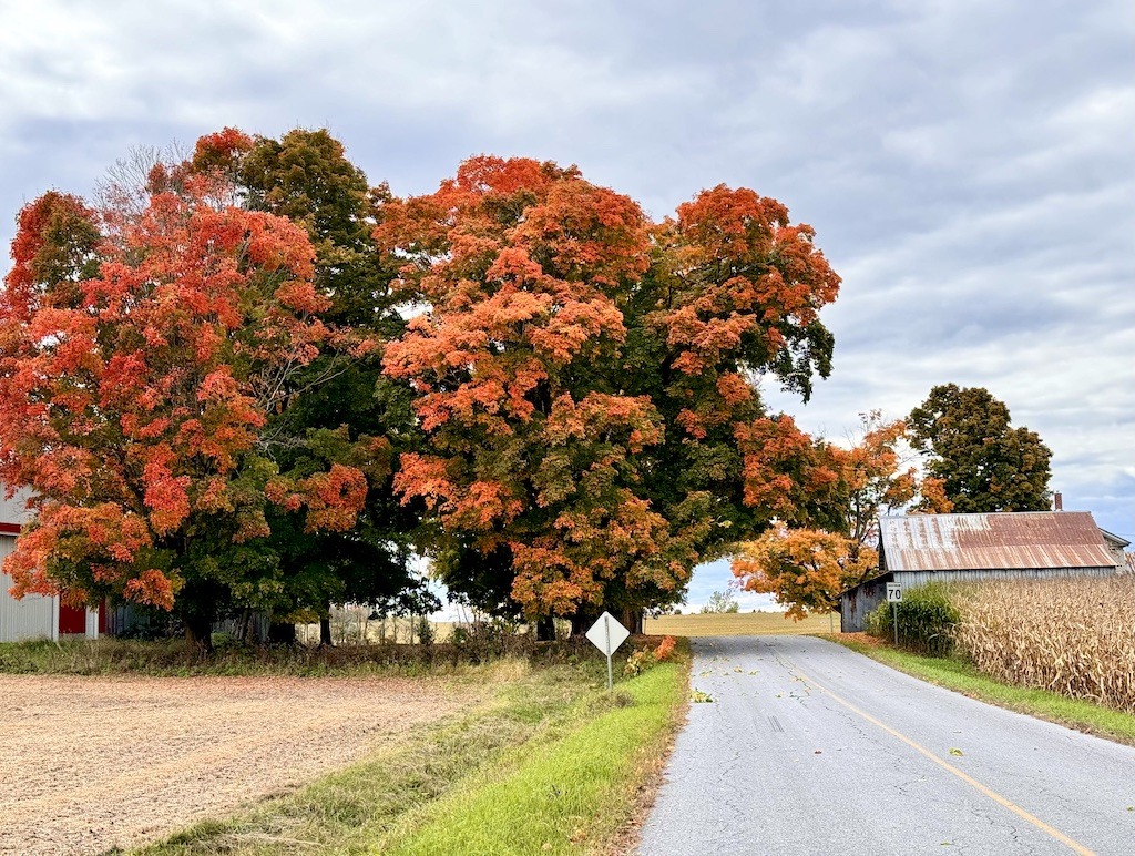 bike routes of the Eastern Townships