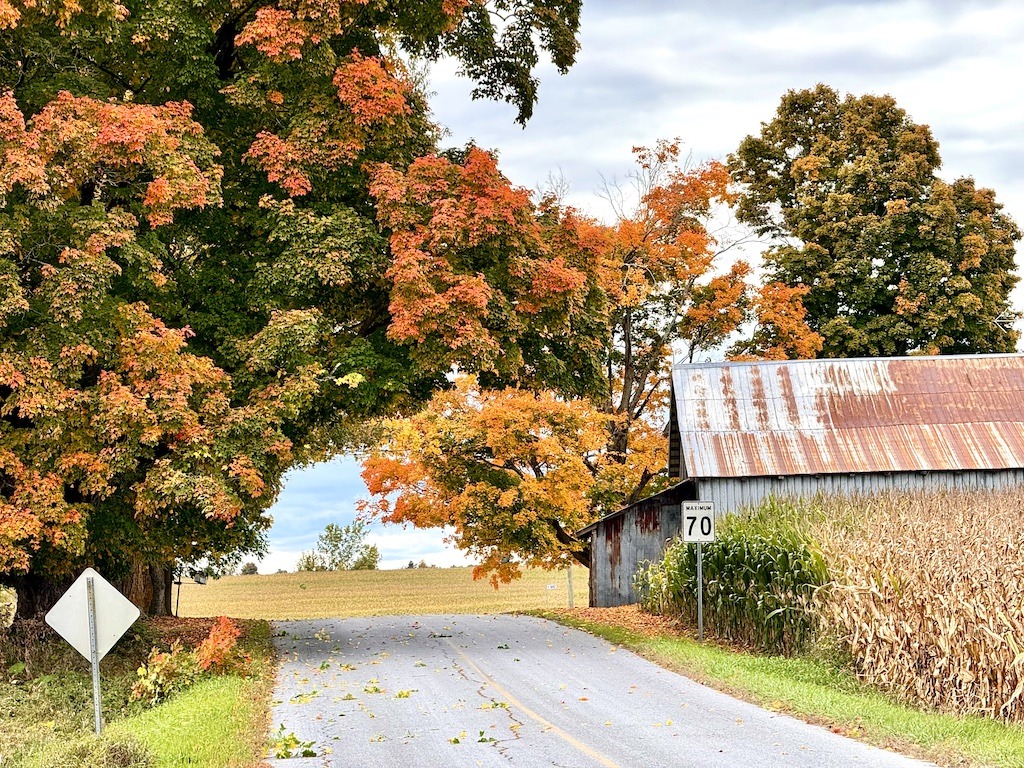 perfect bike routes of the Eastern Townships with fall leaves.