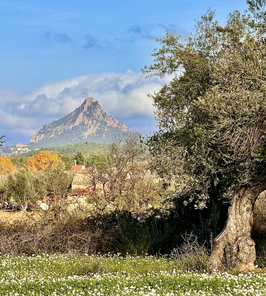 pointed mountain-biking the Val del Zafán Greenway 