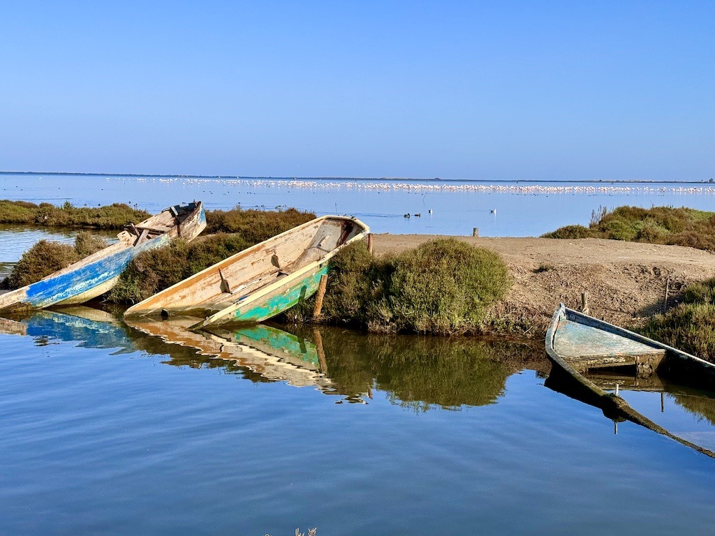 old boat on the ocean with flamingos-biking the Val del Zafán Greenway 