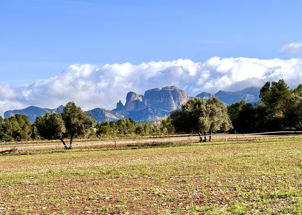 Mountains and trees -biking the Val del Zafán Greenway 