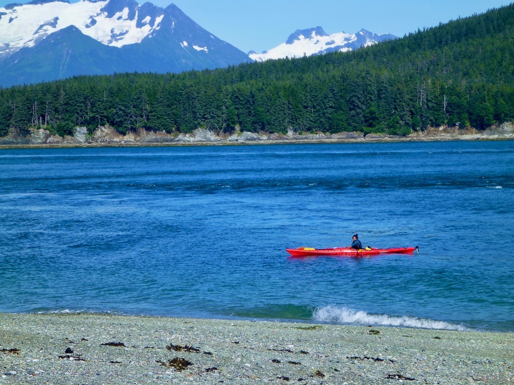 red kayak in bule water with mountains and trees in background while sea kayaking with whales in Alaska