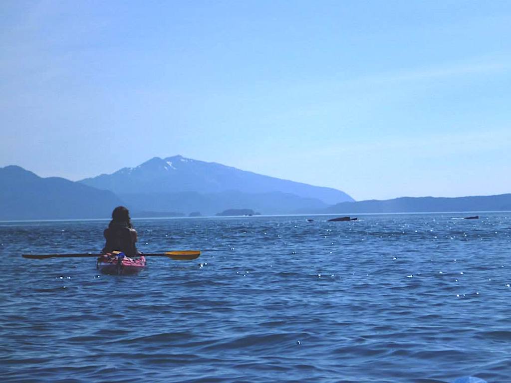 person in red sea kayak watching whales sea kayaking with whales in Alaska