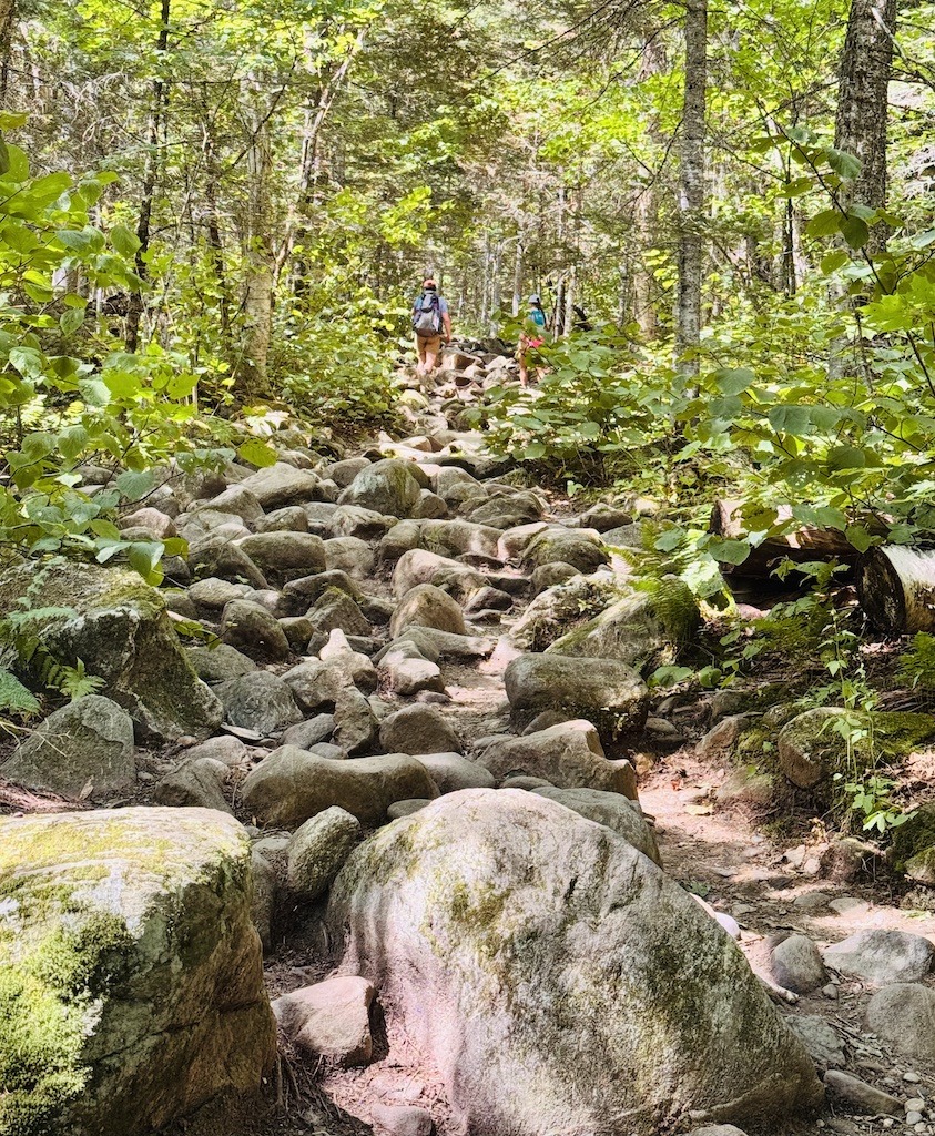 Rocky Trail with two hikers