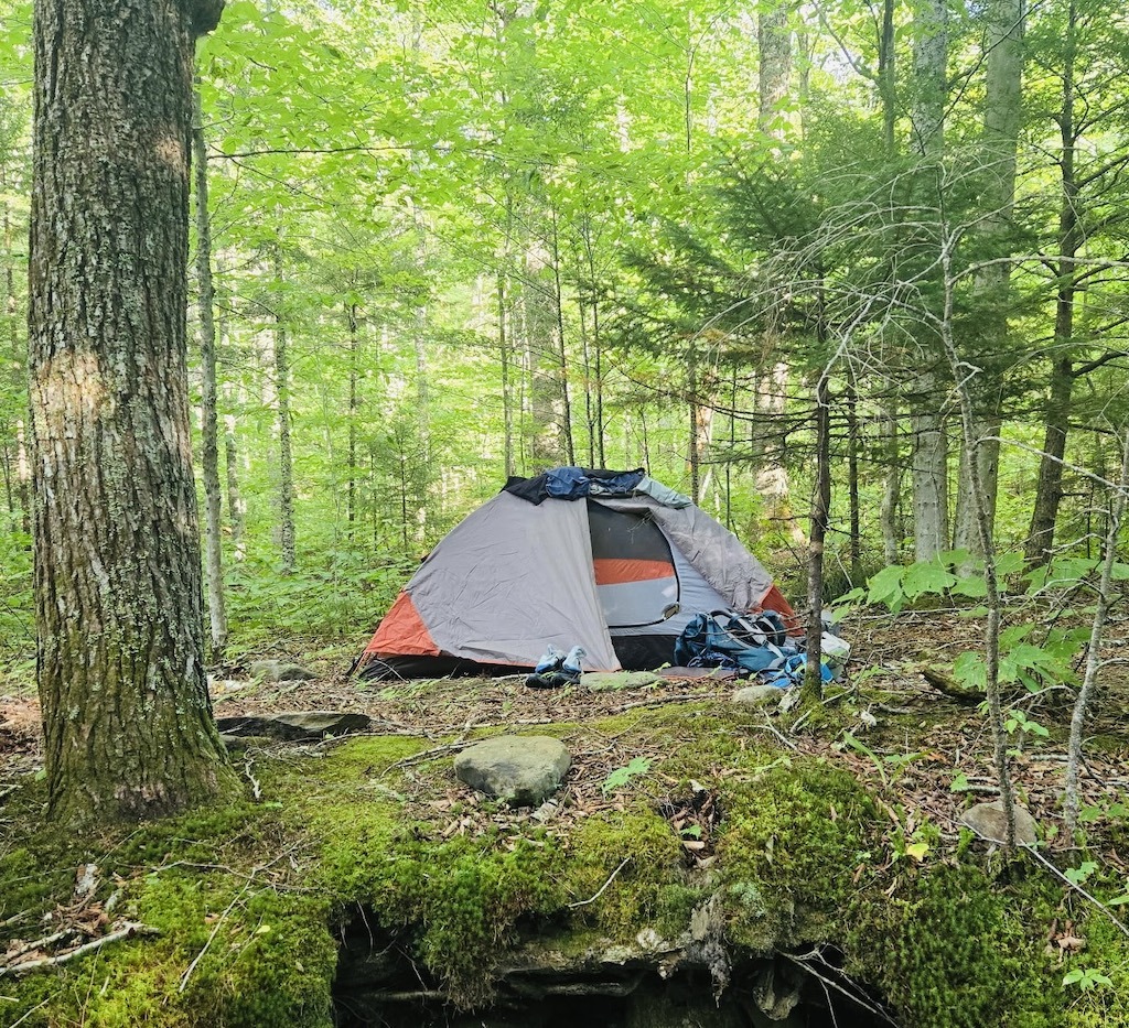 Grey and orange tent in a forest