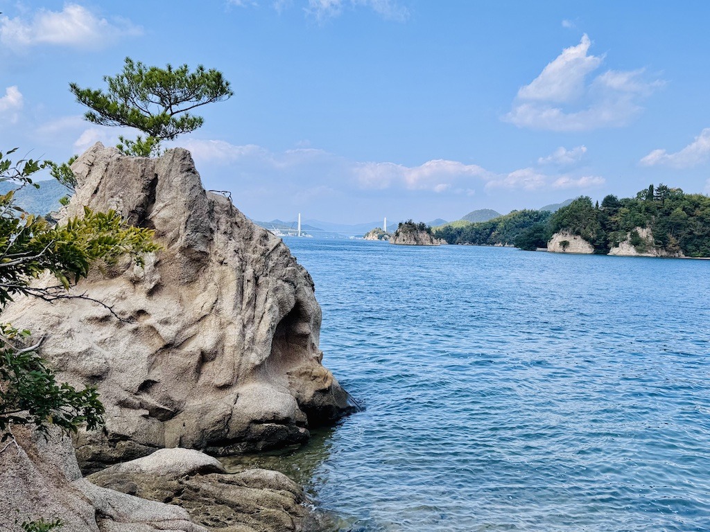 rock with tree next to ocean with bridge in background seen biking the Shimanami Kaido