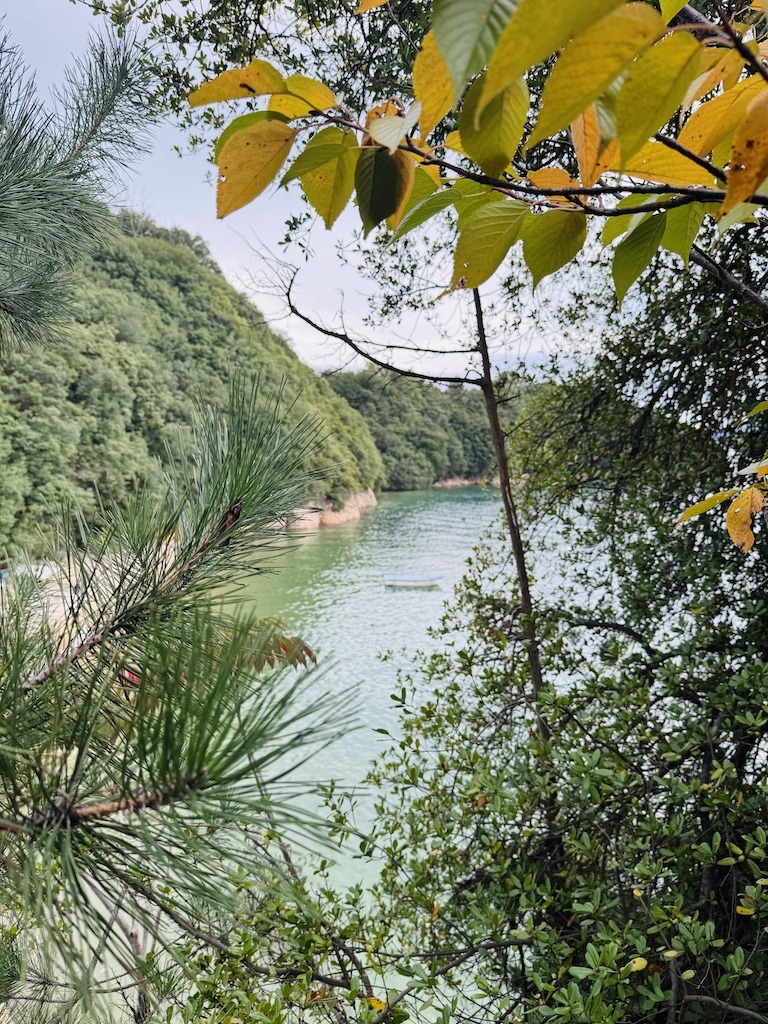 scenic view of boat in green sea 