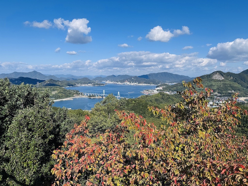 View of bridge and mountains seen while biking the Shimanami Kaido. Red leaves in foreground.
