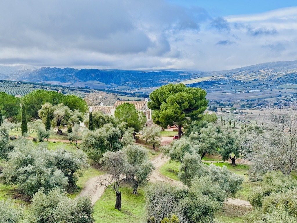 overview of olive groves and old house while E-Biking in Ronda