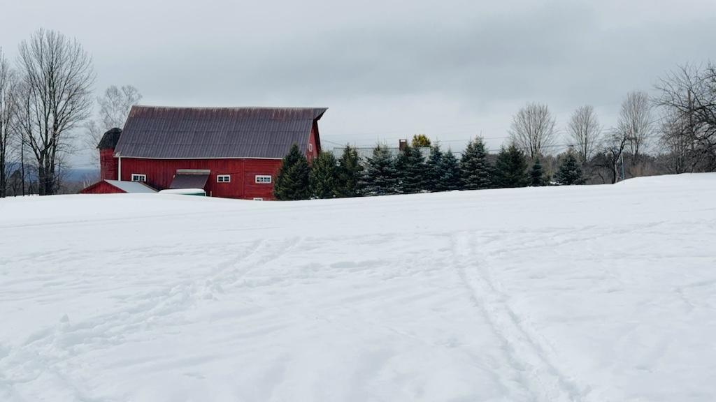 red barn with tracks in snow while cross country skiing at Craftsbury