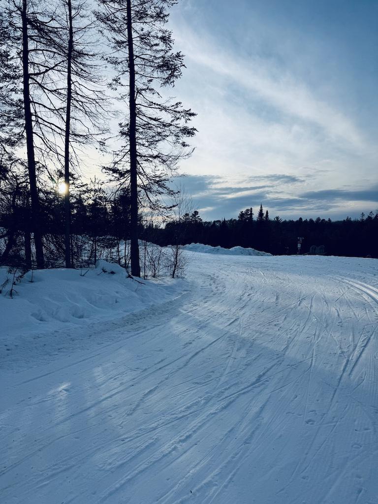 ski trails while cross country skiing at Craftsbury