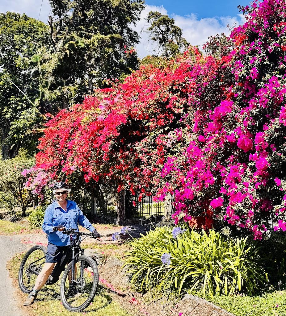 biker in blue pausing by red flowers while E-biking in Panama