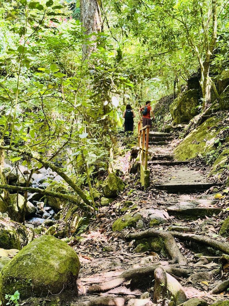 Trail on the India Dormida Hike