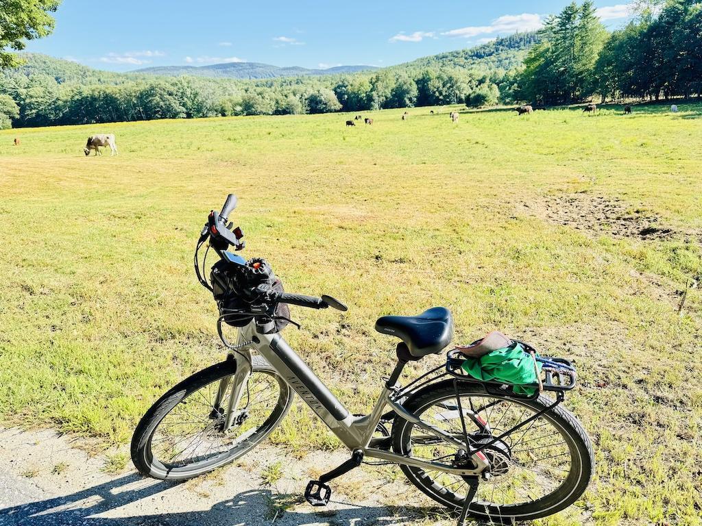 bike and cows - outdoor adventures in Bethel
