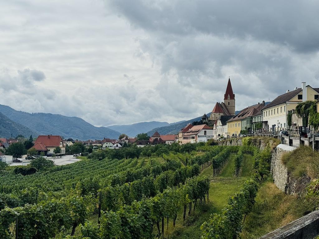 vineyards with village and mountains in the background-while biking along the Danube River